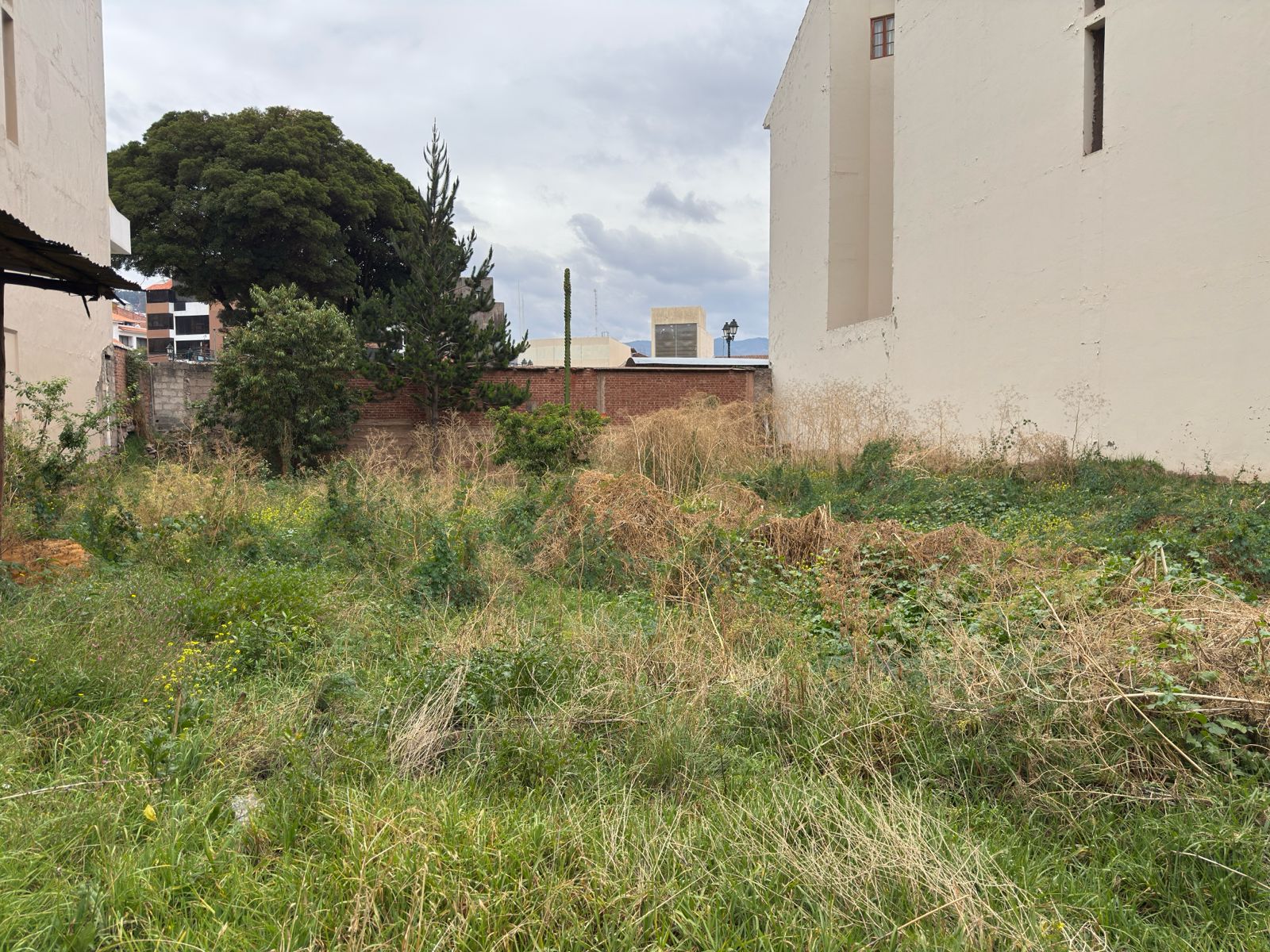 WhatsApp Image 2026-02-18 at 22.28.41