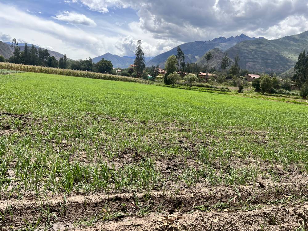 terreno-venta-urubamba-zona-estrategica-4