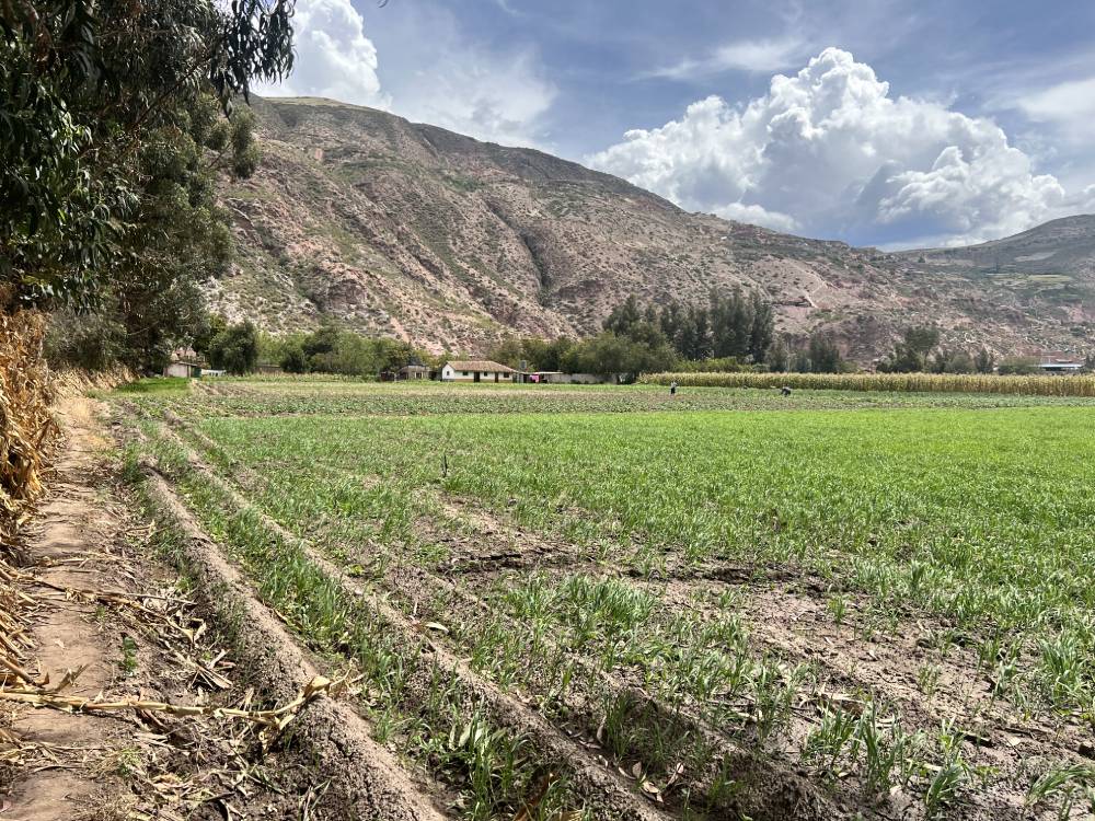 terreno-venta-urubamba-zona-estrategica-5