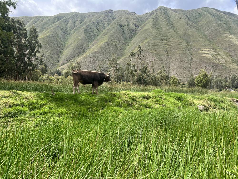 terreno-venta-urubamba-zona-estrategica-6