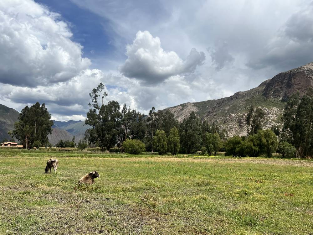 terreno-venta-urubamba-zona-estrategica-7